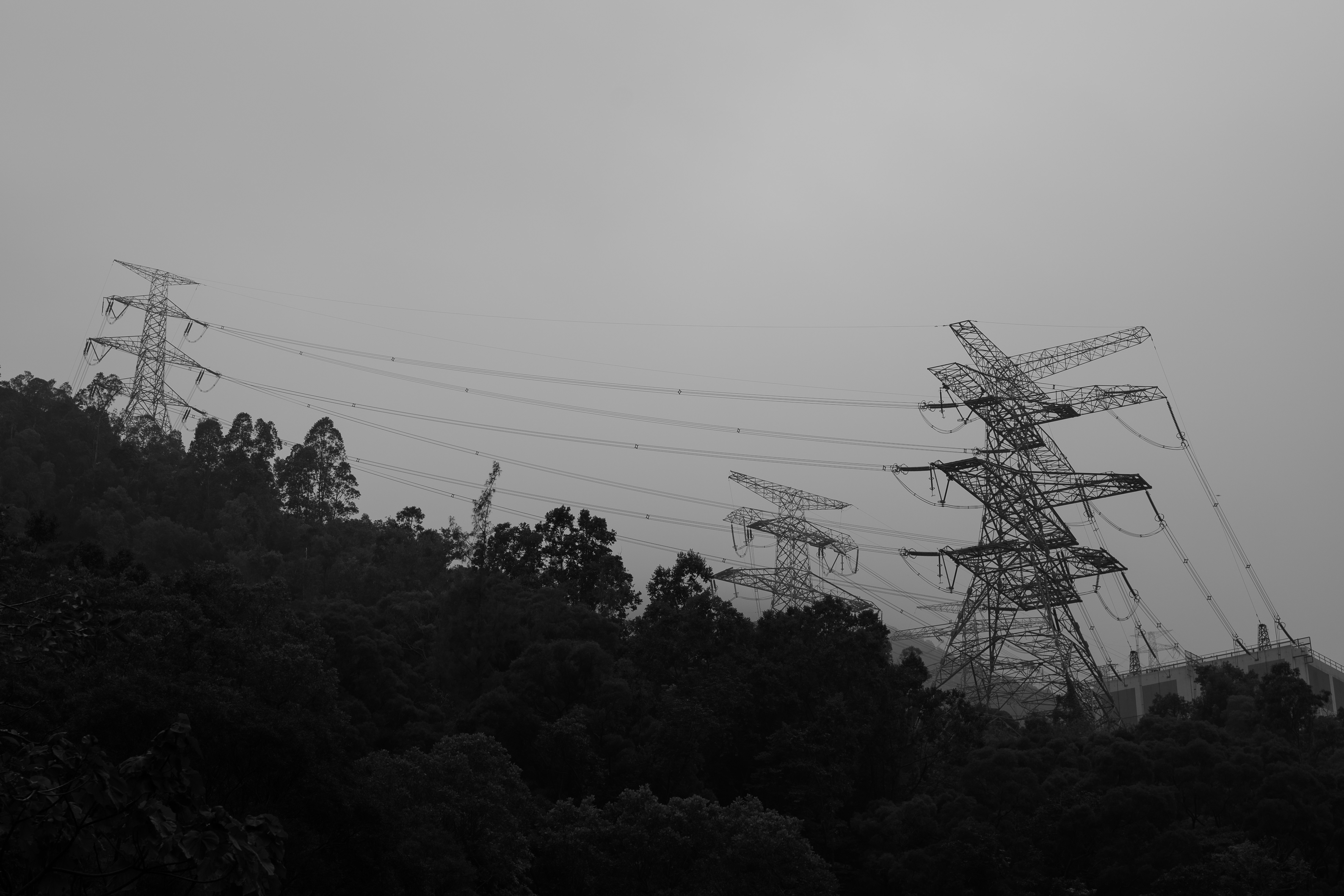 black electric tower surrounded by green trees